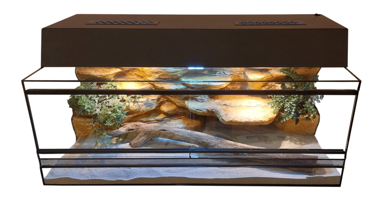 Növényes agáma terrárium