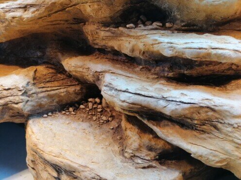 Agáma terrárium háttér