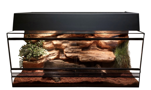 Királypiton Terrárium