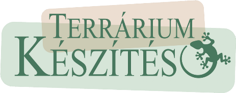 Terrárium Készítés